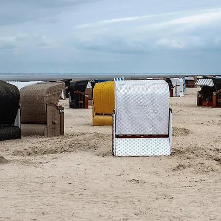 Strandmuschel * Dangast